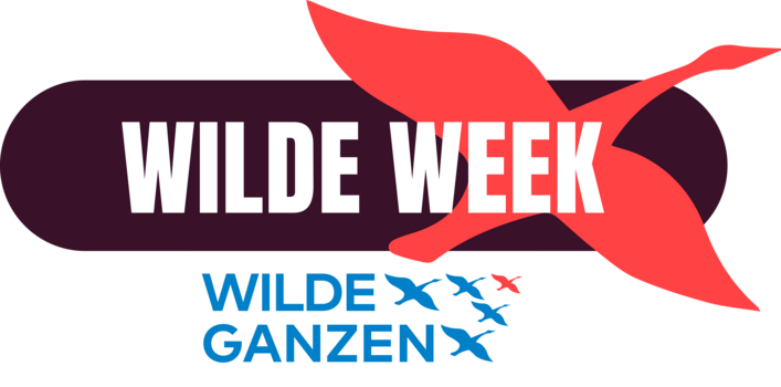 site_header_4dd60a6a5348304c7f3cc8990cc561a1d25f1089